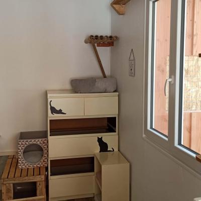 La felicite 11 