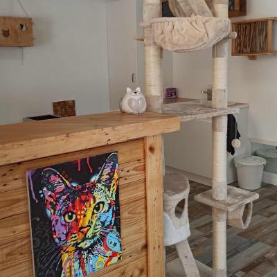 La felicite 17 