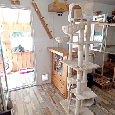 La felicite interieur 5