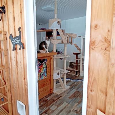 La felicite  intérieur 2