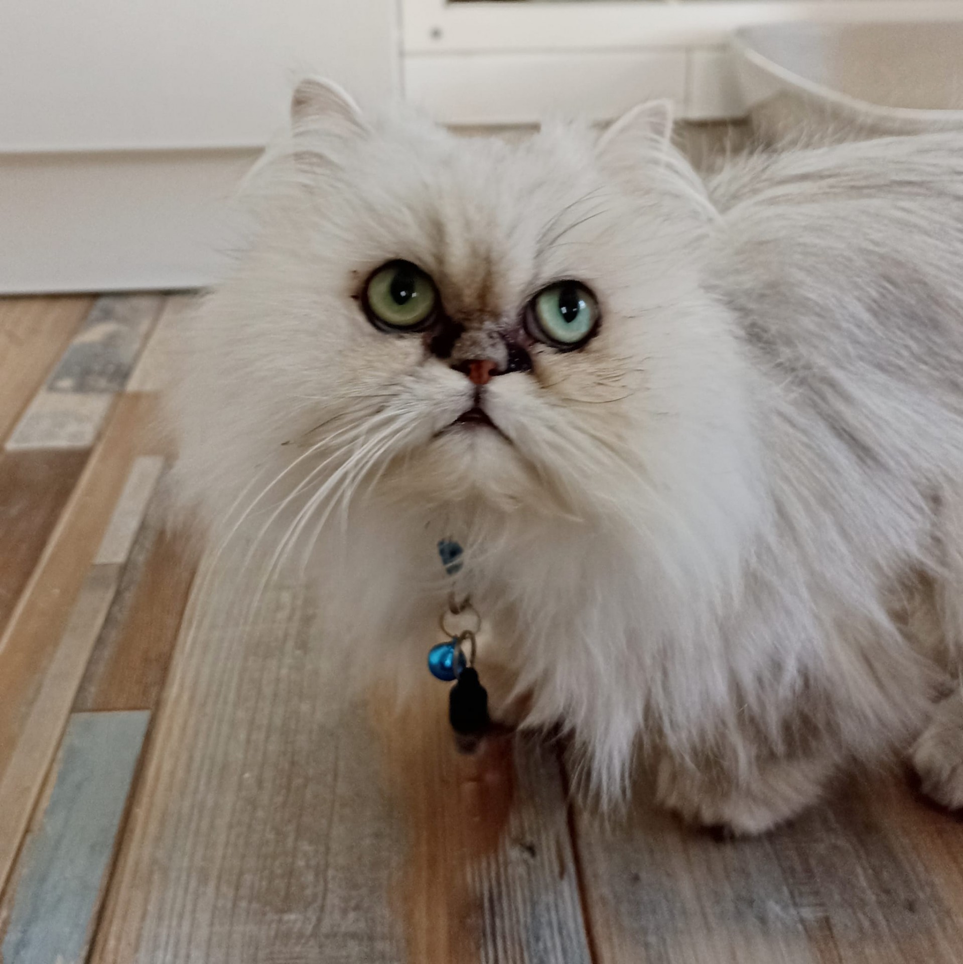 Sweetie