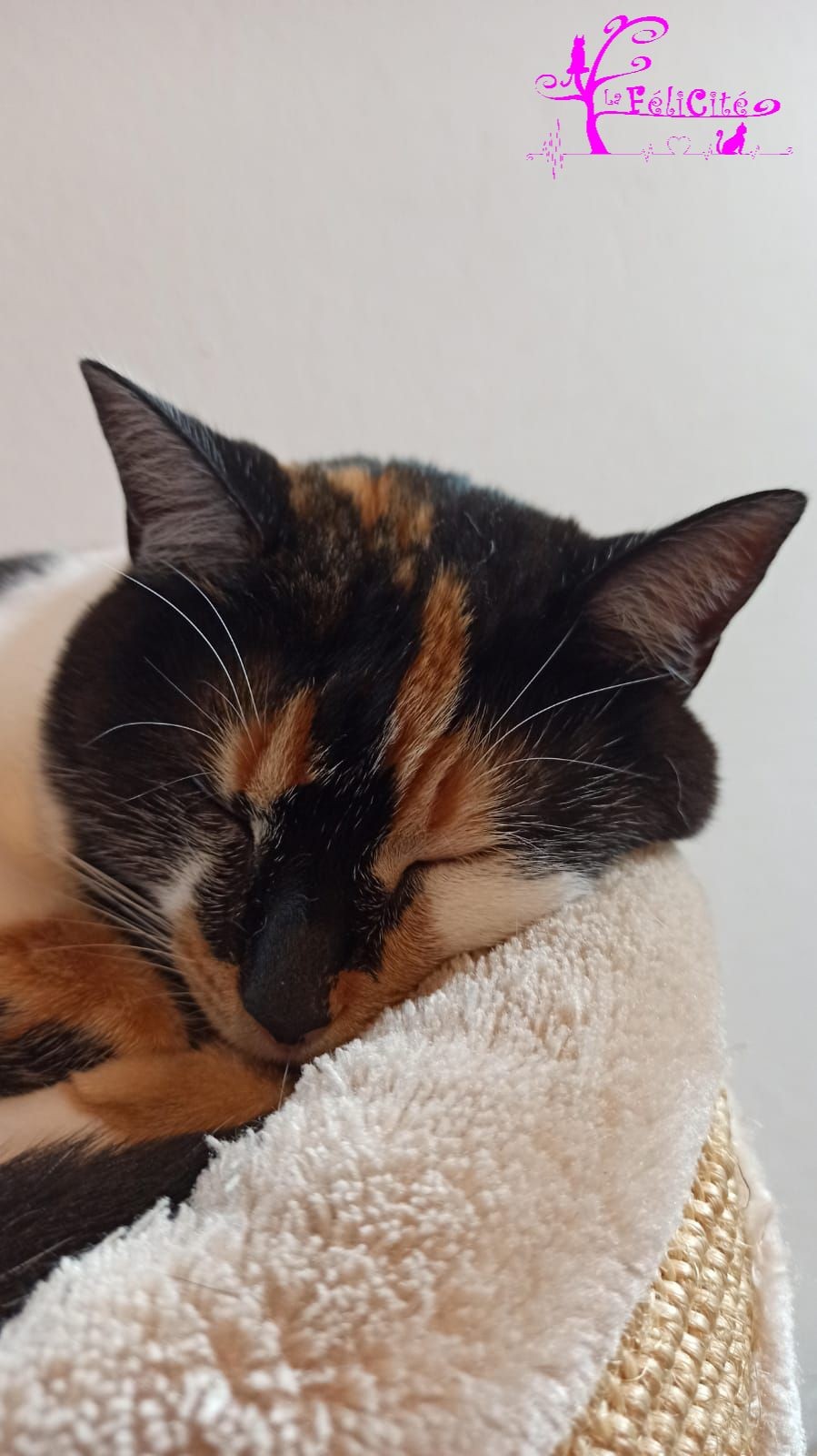 Ouna la dormeuse