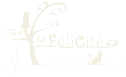Logo La FéliCité