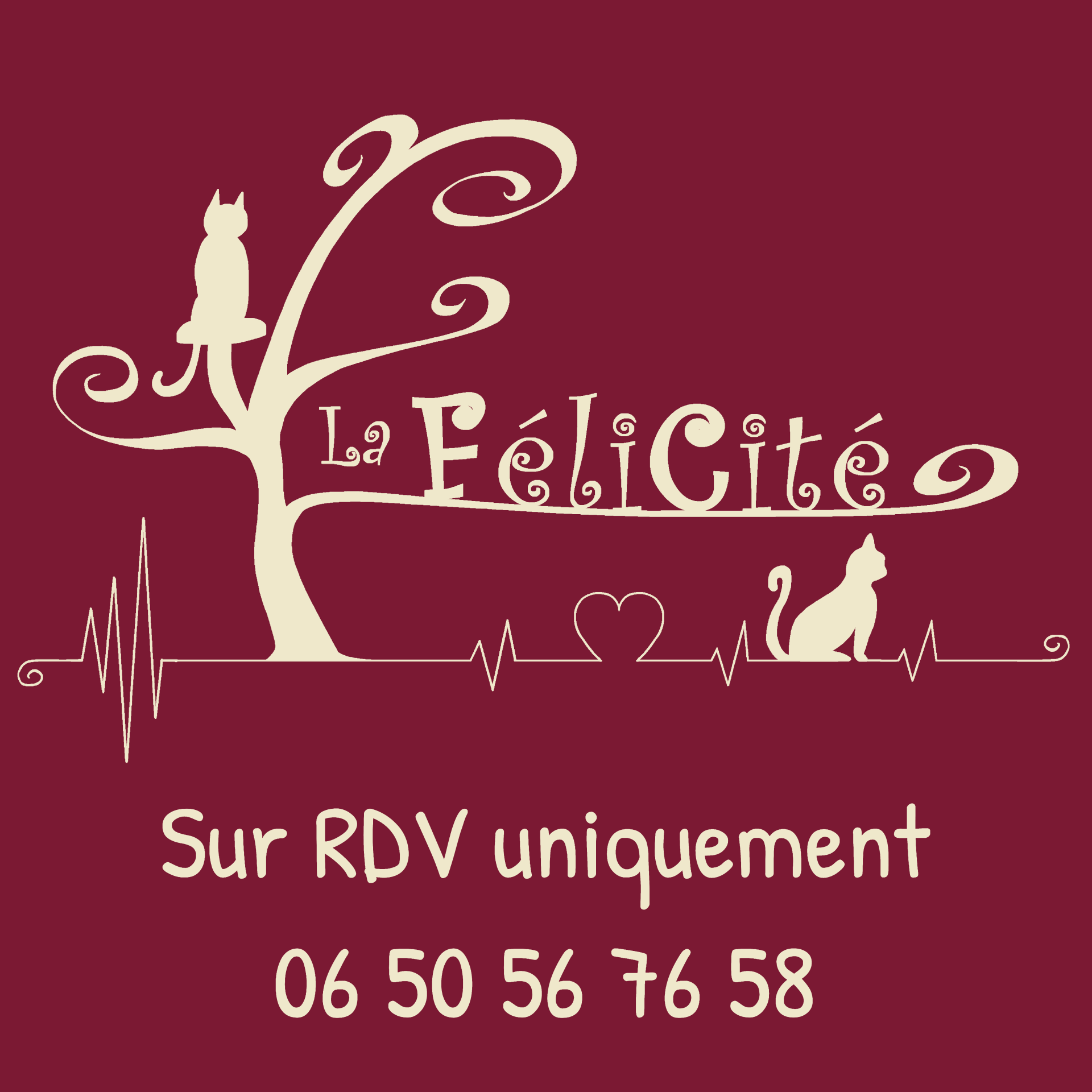 Pension Garde de chats - Loir-et-Cher - La FéliCité