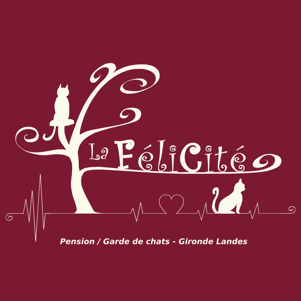 Pension Garde de chats - Gironde Landes - La FéliCité